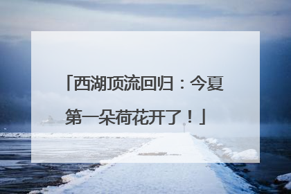 西湖顶流回归：今夏第一朵荷花开了！