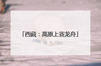 西藏：高原上赛龙舟
