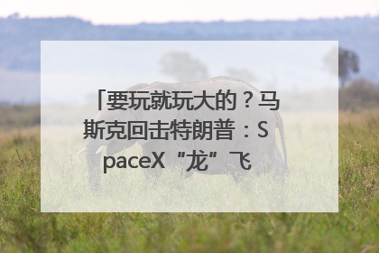 要玩就玩大的？马斯克回击特朗普：SpaceX“龙”飞船将立即退役！