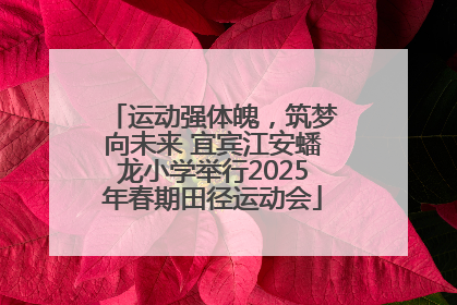 运动强体魄，筑梦向未来 宜宾江安蟠龙小学举行2025年春期田径运动会