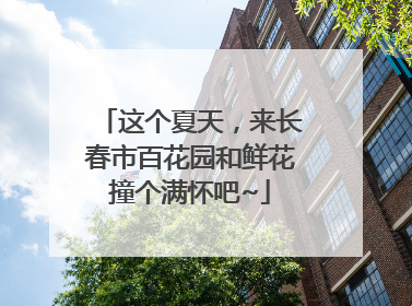 这个夏天，来长春市百花园和鲜花撞个满怀吧~