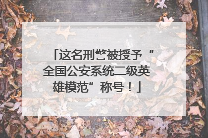 这名刑警被授予“全国公安系统二级英雄模范”称号！