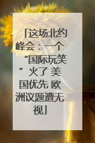 这场北约峰会：一个“国际玩笑”火了 美国优先 欧洲议题遭无视