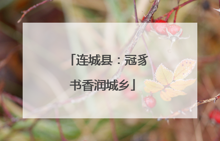 连城县：冠豸书香润城乡