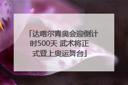 达喀尔青奥会迎倒计时500天 武术将正式登上奥运舞台