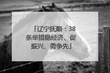 辽宁抚顺：38条举措稳经济、促振兴、勇争先