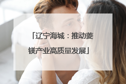 辽宁海城：推动菱镁产业高质量发展