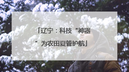 辽宁：科技“神器”为农田夏管护航