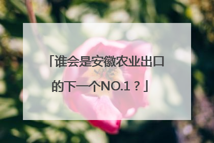 谁会是安徽农业出口的下一个NO.1？