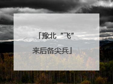 豫北“飞”来后备尖兵