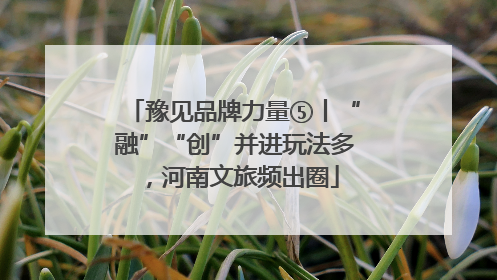 豫见品牌力量⑤丨“融”“创”并进玩法多，河南文旅频出圈