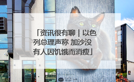 资讯很有聊｜以色列总理声称 加沙没有人因饥饿而消瘦