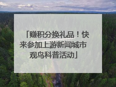 赚积分换礼品！快来参加上游新闻城市观鸟科普活动