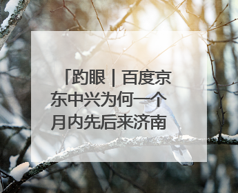 趵眼｜百度京东中兴为何一个月内先后来济南签约？