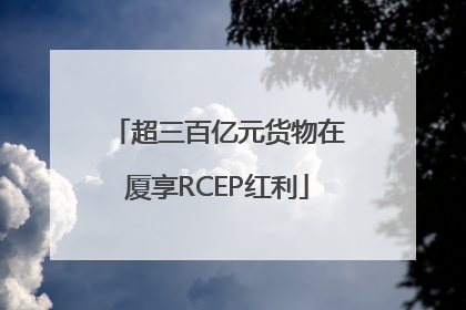 超三百亿元货物在厦享RCEP红利