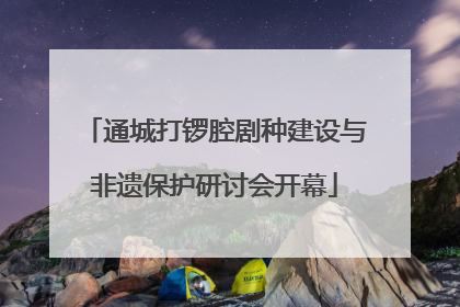 通城打锣腔剧种建设与非遗保护研讨会开幕