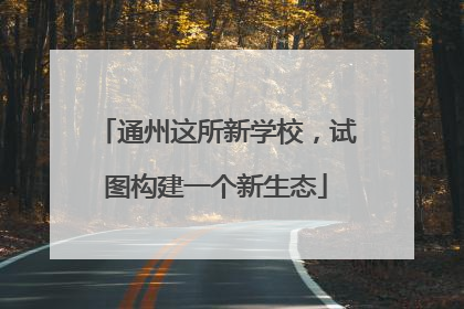 通州这所新学校，试图构建一个新生态