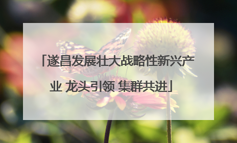 遂昌发展壮大战略性新兴产业 龙头引领 集群共进