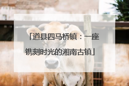 道县四马桥镇：一座镌刻时光的湘南古镇
