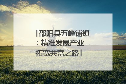 邵阳县五峰铺镇：精准发展产业 拓宽共富之路