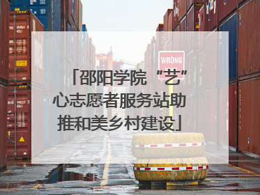 邵阳学院“艺”心志愿者服务站助推和美乡村建设