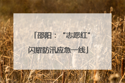 邵阳：“志愿红”闪耀防汛应急一线