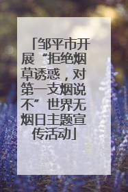 邹平市开展“拒绝烟草诱惑，对第一支烟说不”世界无烟日主题宣传活动