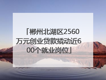 郴州北湖区2560万元创业贷款撬动近600个就业岗位