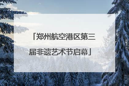 郑州航空港区第三届非遗艺术节启幕
