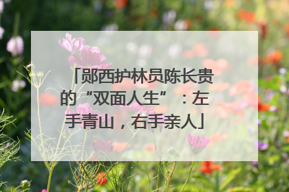 郧西护林员陈长贵的“双面人生”：左手青山，右手亲人
