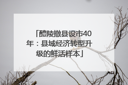 醴陵撤县设市40年：县域经济转型升级的鲜活样本