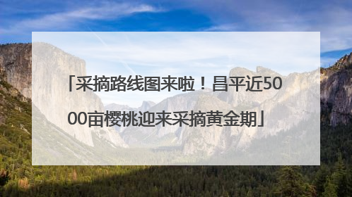 采摘路线图来啦！昌平近5000亩樱桃迎来采摘黄金期