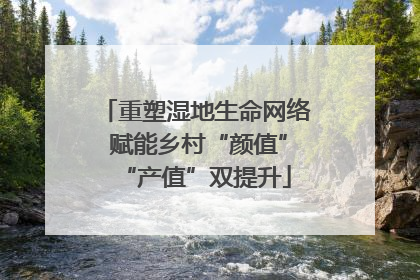 重塑湿地生命网络 赋能乡村“颜值”“产值”双提升