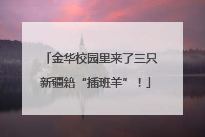 金华校园里来了三只新疆籍“插班羊”！