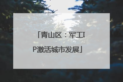 青山区：军工IP激活城市发展