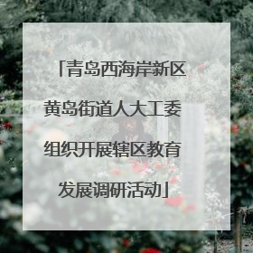 青岛西海岸新区黄岛街道人大工委组织开展辖区教育发展调研活动