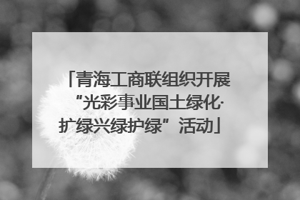 青海工商联组织开展“光彩事业国土绿化·扩绿兴绿护绿”活动