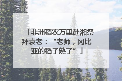 非洲稻农万里赴湘祭拜袁老：“老师，冈比亚的稻子熟了”