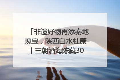 非遗好物再添秦地瑰宝，陕西白水杜康十三朝酒海陈藏30年别具一格