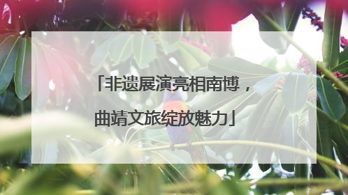 非遗展演亮相南博，曲靖文旅绽放魅力