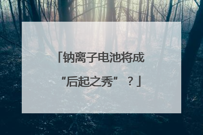 钠离子电池将成“后起之秀”？