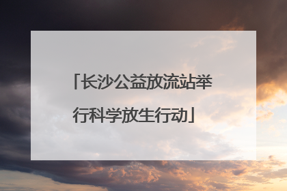 长沙公益放流站举行科学放生行动