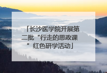 长沙医学院开展第二批“行走的思政课”红色研学活动