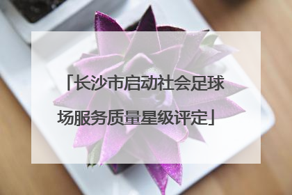 长沙市启动社会足球场服务质量星级评定