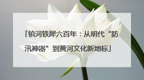 镇河铁犀六百年：从明代“防汛神器”到黄河文化新地标
