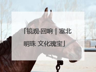 镜观·回响｜塞北明珠 文化瑰宝