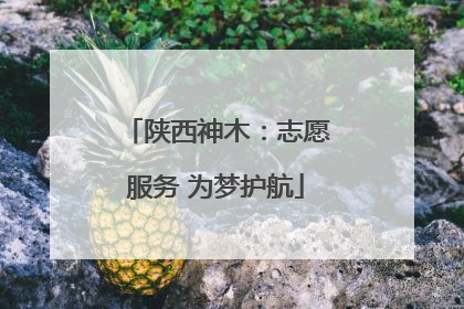 陕西神木：志愿服务 为梦护航