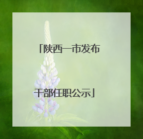 陕西一市发布干部任职公示