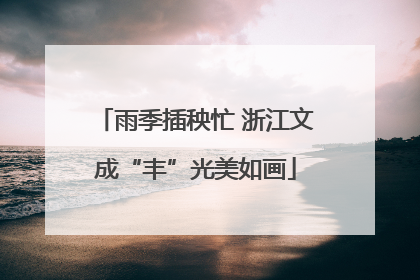 雨季插秧忙 浙江文成“丰”光美如画