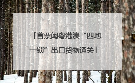 首票闽粤港澳“四地一锁”出口货物通关